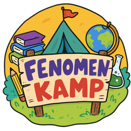 Fenomen Kamp LGS Hazırlık