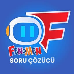 Fenomen Soru Çözücü