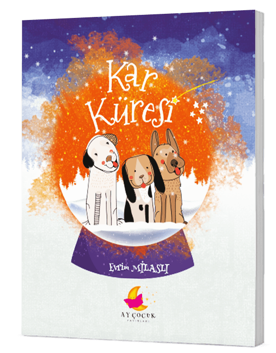 Kar Küresi